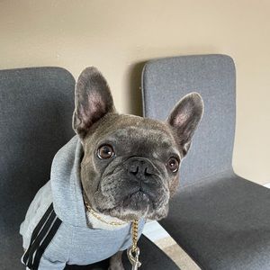 Meet your Posher, Darrell